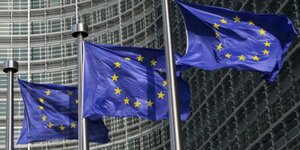 Der ZVO hat die Agentur EPPA mit der Koordination der europapolitischen Aktivitäten beauftragt.